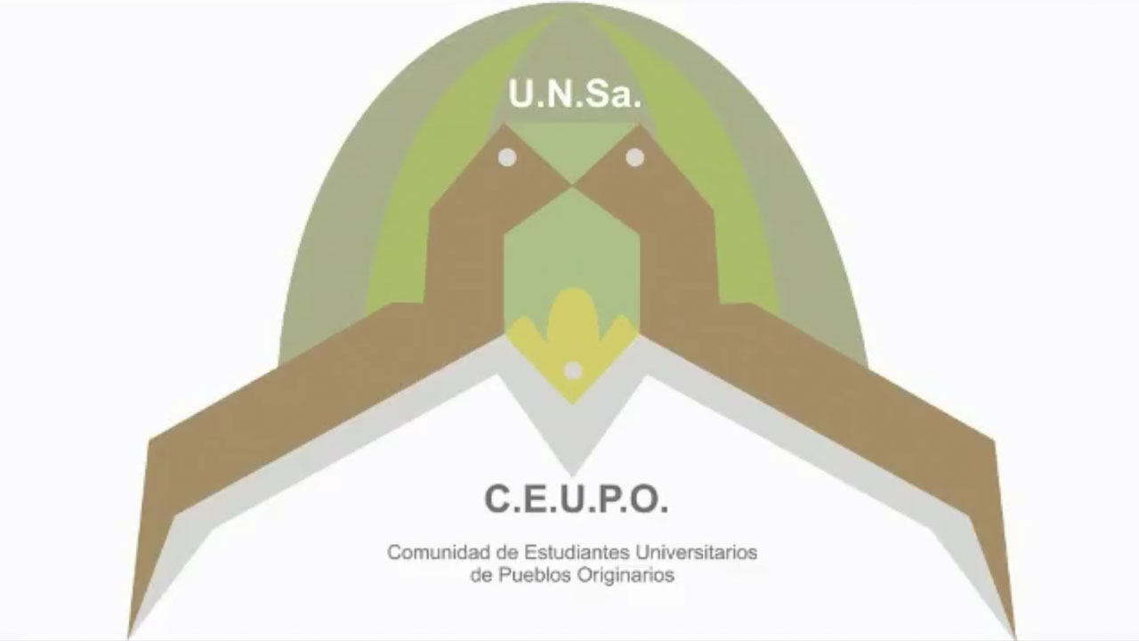 Universidad Nacional de Salta - CEUPO (Comunidad de Estudiantes Universitarios de Pueblos Originarios). Argentina. INICIATIVA PARA LA ERRADICACIÓN DEL RACISMO EN LA EDUCACIÓN SUPERIOR.